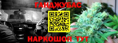 дмт Славгород