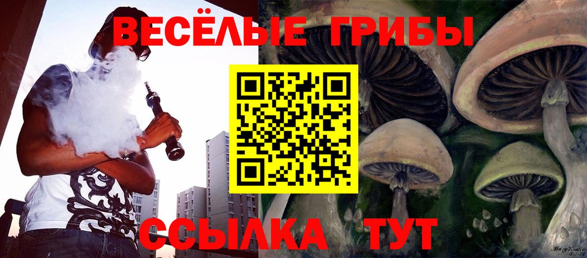 Галлюциногенные грибы мухоморы Владикавказ