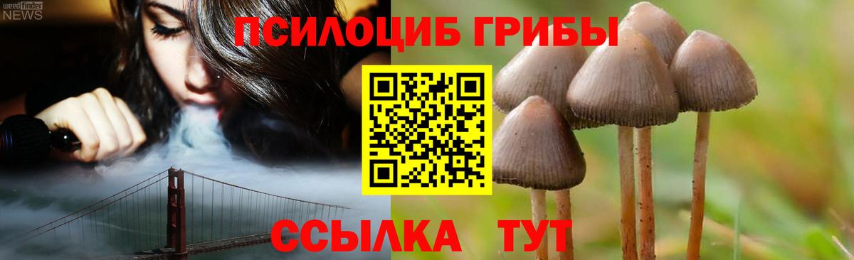 Псилоцибиновые грибы Magic Shrooms  Вход с VPN  Владикавказ 